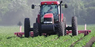 AGRIC TECHNOLOGY WILL INCREASE PRODUCTIVITY, WORLD BANK