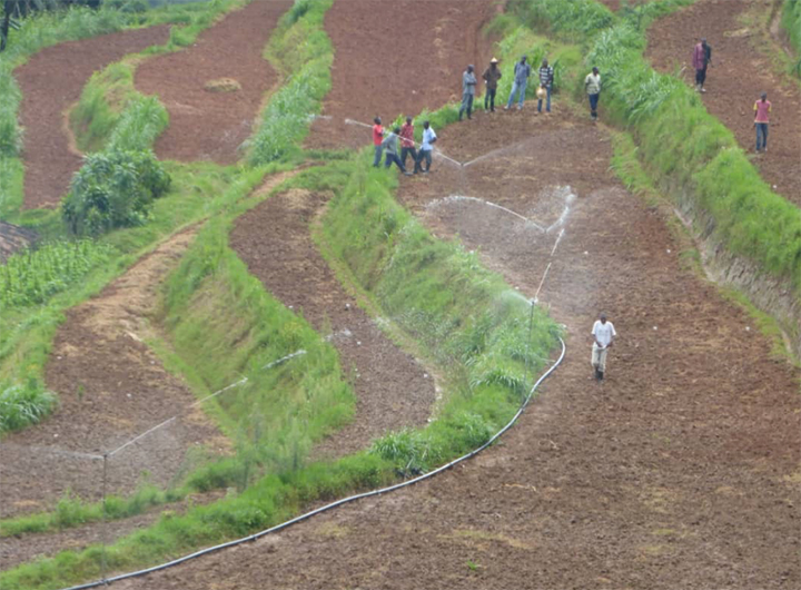 Husbandry and agriculture mechanization to boost yield in Rwanda