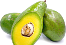 Avocado: Ghana’s next €2billion export win – Elikem Desewu writes