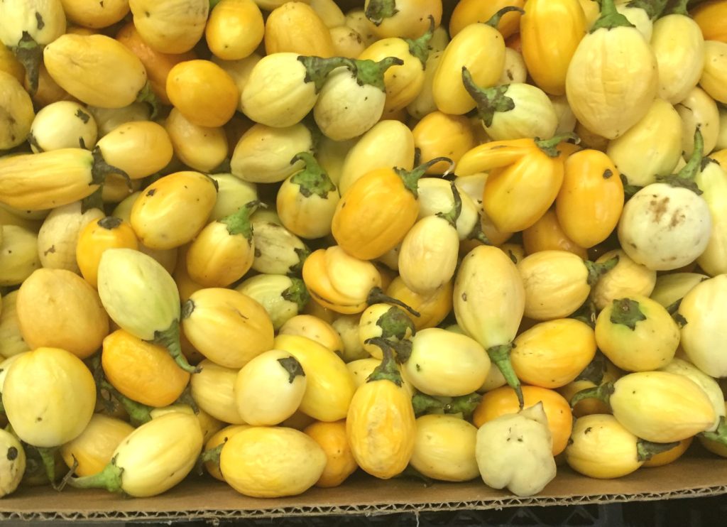 LIFESTYLE The medicinal benefits of Garden Eggs/eggplant that you