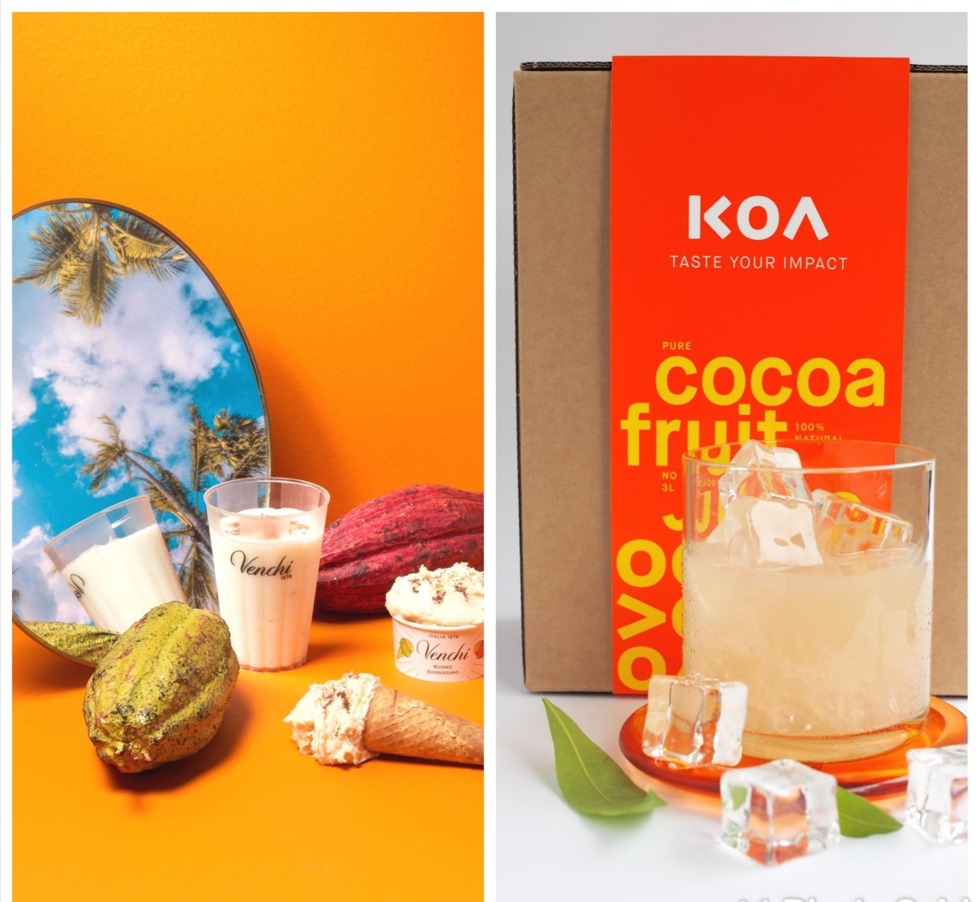 PRESS RELEASE Cocoa fruit sorbet; Venchi launches a gelato made with