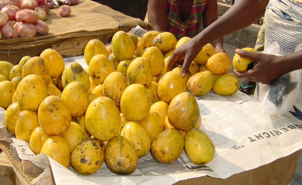LIFESTYLE Mango Season; the volume of mango that people with diabetes