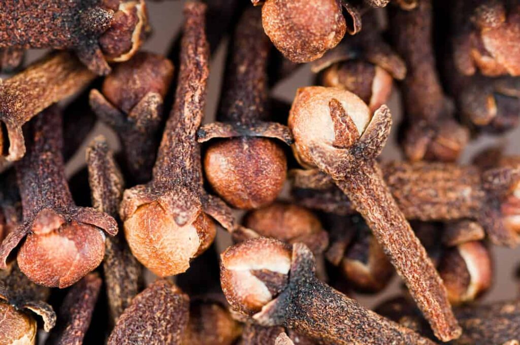 How to use Cloves to keep mice away and why they work AgricToday