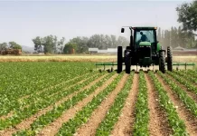 Canada-Africa agribusiness summit set for July 2026 in Saskatoon
