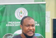 Peasant Farmers Association calls for immediate action to resolve grains glut crisis in the country