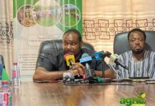 Peasant Farmers Association urges gov’t to prioritise agricultural value addition amid $10bn New Economy Policy