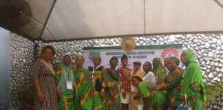 Diaspora-Led Agribusiness Finds Fertile Ground in Nigeria as Ghana Risks Falling Behind