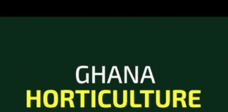 Ghana Horticulture Expo 2025: Empowering Youth and Women through Innovation, Agribusiness, and B2B Connections- Africa Skills Hub