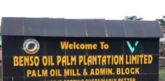 Benso Oil Palm Plantation declares GH₵2.13 dividend per share in 2024