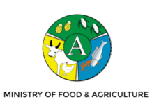 MoFA cautions the public on MoFA CARES, 2025 National Empowerment Programe scam