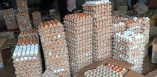 Poultry farmers in Bono Region seek govt support amid falling price of egg due to over production