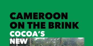 Cameroon on the brink: cocoa boom risks country becoming next deforestation hotspot