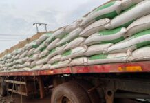 MoFA has dispensed 25000 bags of fertilizers to the 413 FGP registered schools