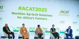 Food security: A farmer-centric approach is needed to transform African agriculture