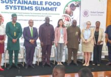 100,000 Hectares of arable land to be irrigated in the next 4 years — Agric Minister