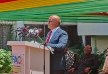 UN calls for collaboration to build food systems for nourishment and to protect the planet