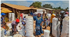 Farmers in the Kpassa market decry of low buyers turnout