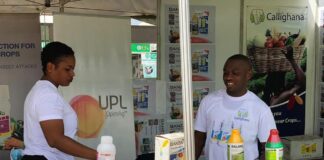 Input dealers expect tax exemption on imports on agriculture inputs ahead of 2026 budget reading.