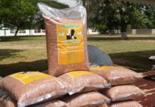 Ghana’s Rice Story: Where We Are, What Must Change, and Why It Matters to All of Us