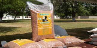 Ghana’s Rice Story: Where We Are, What Must Change, and Why It Matters to All of Us