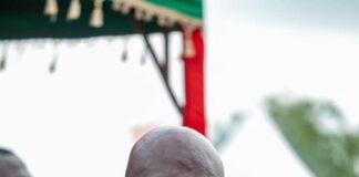 Volta Region Hosts 41st National Farmers’ Day Celebration, Showcasing National Agricultural Strength and Innovation