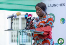 40,000 acres in Yeji have been secured by Trade Ministry for Feed the Industry programme