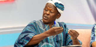 Food prices are too low to sustain Ghanaian farmers – Prof. Kanton