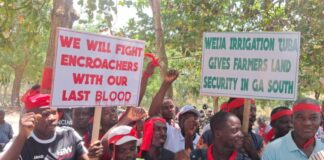 Land guards take over Tuba irrigation farm as farmers protest