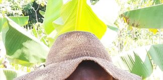 Concerned Farmers Association accuses police of shielding illegal loggers