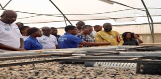 President Mahama’s Vision for Aquculture Enhances as Fisheries Minister Tours Key Fish Farms Nationwide