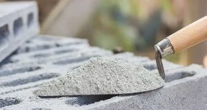 Crops Research Institute warns against use of cement powder in bean preservation