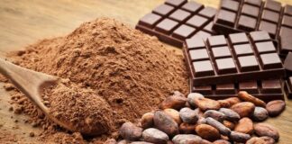 Current Cocoa Pricing Mechanisms fail to protect farmers – COFAAA