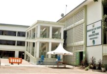 MoFA audit: Tonnes of rice, maize missing – 2 Ghost companies paid GH¢24m