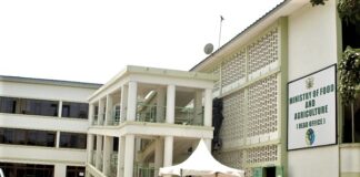 MoFA audit: Tonnes of rice, maize missing – 2 Ghost companies paid GH¢24m