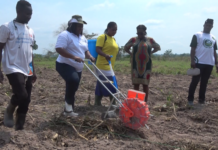 AGRA’s mechanization and modern farming systems are key to whip youth interest in agriculture – MoFA