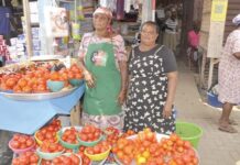 Ghana’s tomato market after the Burkina Faso export ban: Relief without resolution