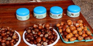 Government moves to cut export of raw shea nuts