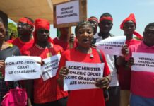 Over 5,000 agricultural unemployed graduates call on government for job