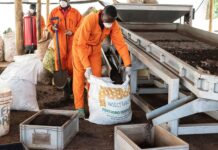 80% of Africa’s fertiliser is imported: how food systems can adapt to the Iran shock