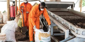 80% of Africa’s fertiliser is imported: how food systems can adapt to the Iran shock