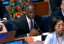 Gov’t to plant additional 30 million trees from June – Lands Ministry