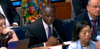 Gov’t to plant additional 30 million trees from June – Lands Ministry