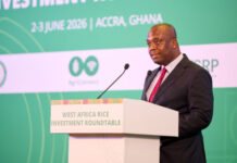 Importing US$4bn worth of rice by West African countries is unjustifiable – Dep. Finance Minister