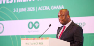 Importing US$4bn worth of rice by West African countries is unjustifiable – Dep. Finance Minister
