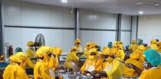 Burkina Faso inaugurates a modern cashew and mango processing plant in Mè, a new breath for rural industrialization: