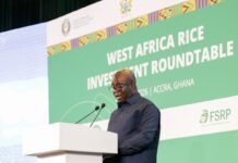 Our rice deficit is not simply a burden on our balance of payments, it is the single largest untapped agribusiness opportunity in our staple-food economy – Agric Minister