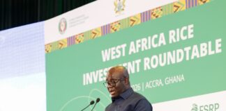 Our rice deficit is not simply a burden on our balance of payments, it is the single largest untapped agribusiness opportunity in our staple-food economy – Agric Minister