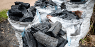 50% increase of charcoal is one of the Ghana’s biggest inflation drive – Government Statistician