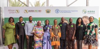 Leveraging the Passion, Power, Enthusiasm, and Innovation of Youth to Drive and Influence Positive Action for Ghana’s Agrifood System: The World Food Forum Ghana Chapter as a Catalyst