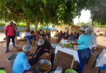 Ghana’s cashew apples get a second life